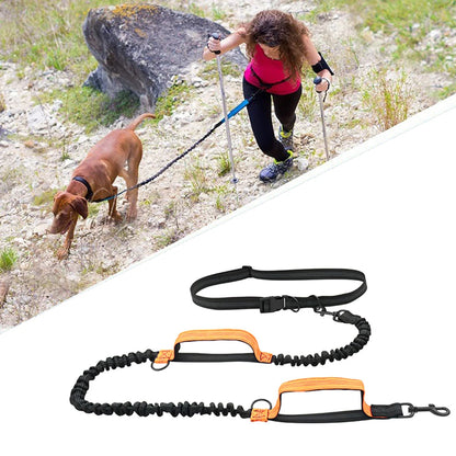 Enhance Your Dog Walks with Our Reflective Elastic Dog Leash