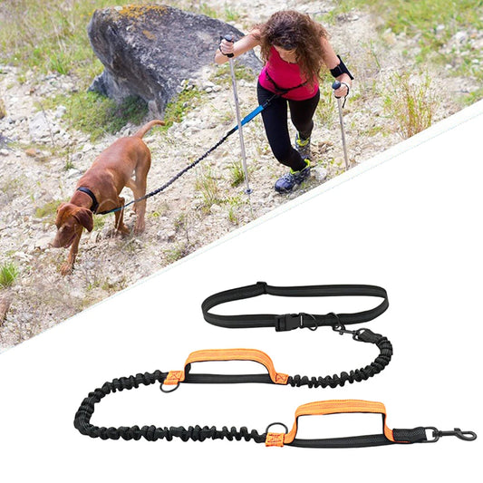 Enhance Your Dog Walks with Our Reflective Elastic Dog Leash