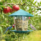 Bird Feeder for Outdoor Feeding - Hanging Nut Dispenser with Multiple Holes for Easy Access - Johns Pet Store