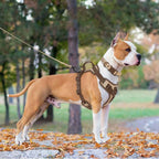 Luxury Dog Harness No Pull - Adjustable Chest Strap for Large and Small Dogs with Customization Options