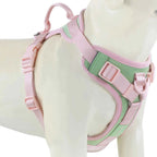 Luxury Dog Harness No Pull - Adjustable Chest Strap for Large and Small Dogs with Customization Options