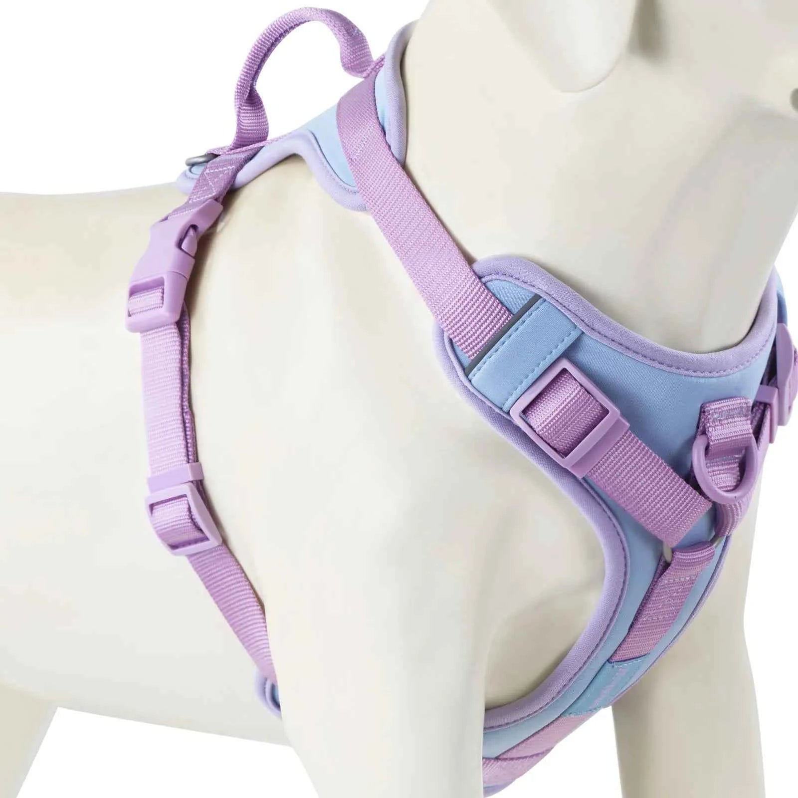 Luxury Dog Harness No Pull - Adjustable Chest Strap for Large and Small Dogs with Customization Options