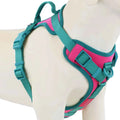 Luxury Dog Harness No Pull - Adjustable Chest Strap for Large and Small Dogs with Customization Options
