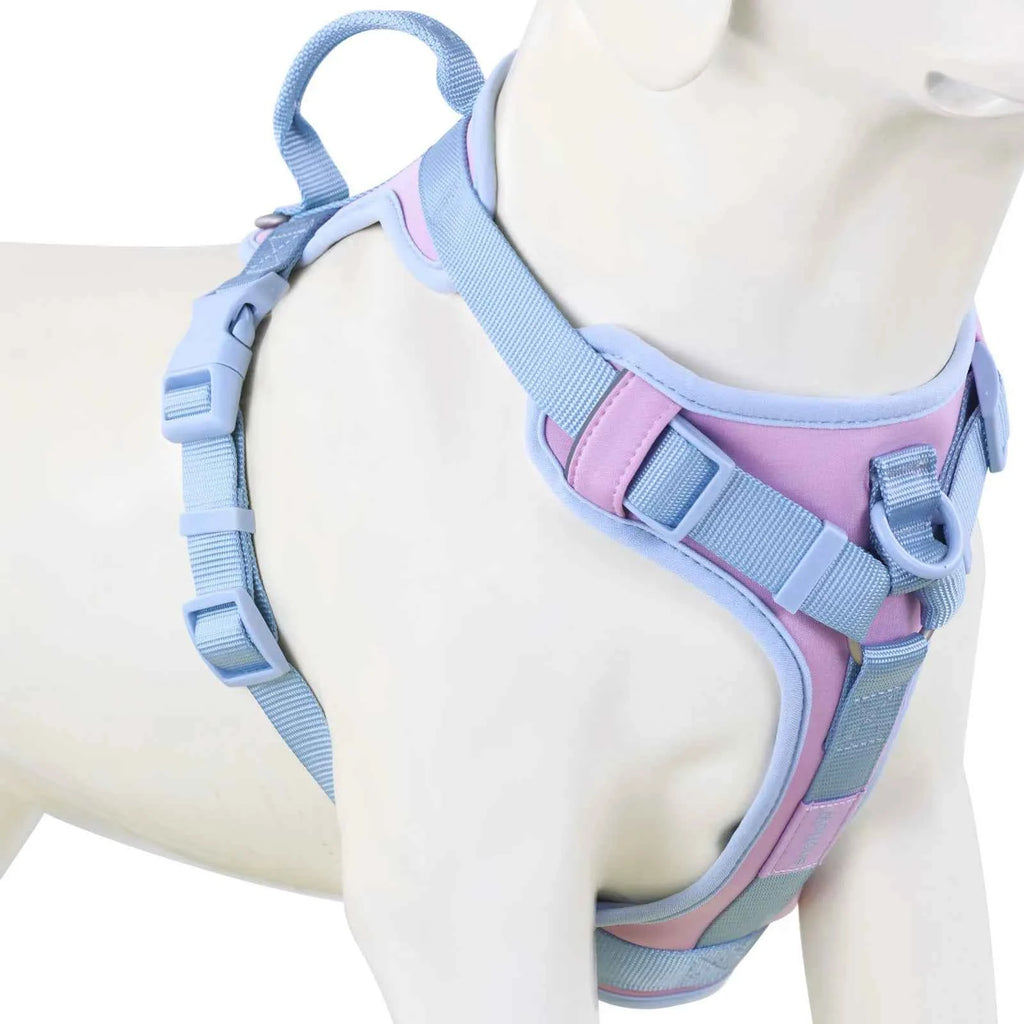 Luxury Dog Harness No Pull - Adjustable Chest Strap for Large and Small Dogs with Customization Options