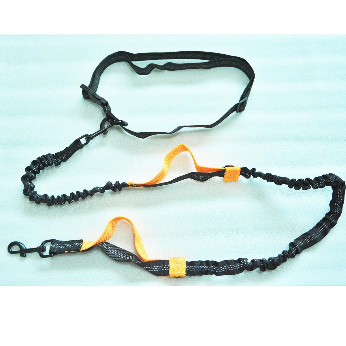 Enhance Your Dog Walks with Our Reflective Elastic Dog Leash