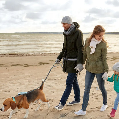 Enhance Your Dog Walks with Our Reflective Elastic Dog Leash