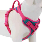 Luxury Dog Harness No Pull - Adjustable Chest Strap for Large and Small Dogs with Customization Options