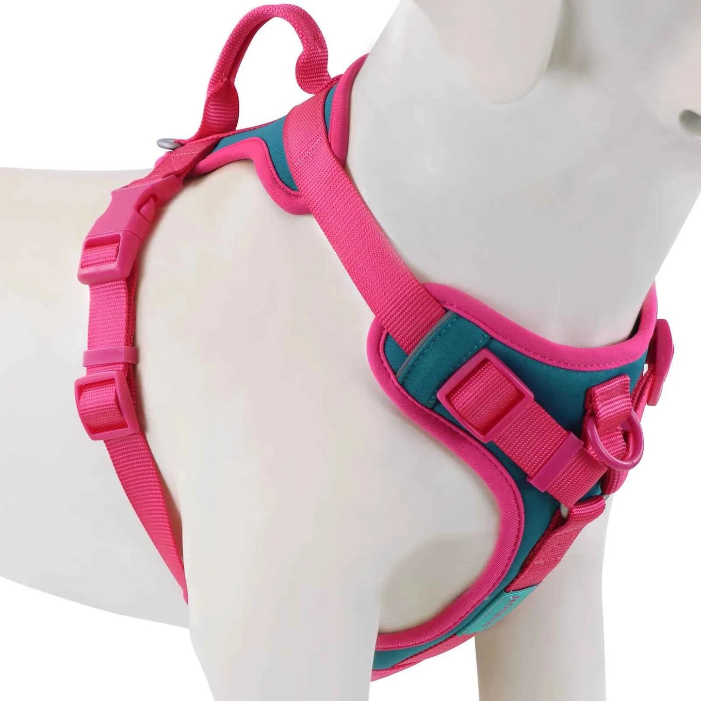 Luxury Dog Harness No Pull - Adjustable Chest Strap for Large and Small Dogs with Customization Options
