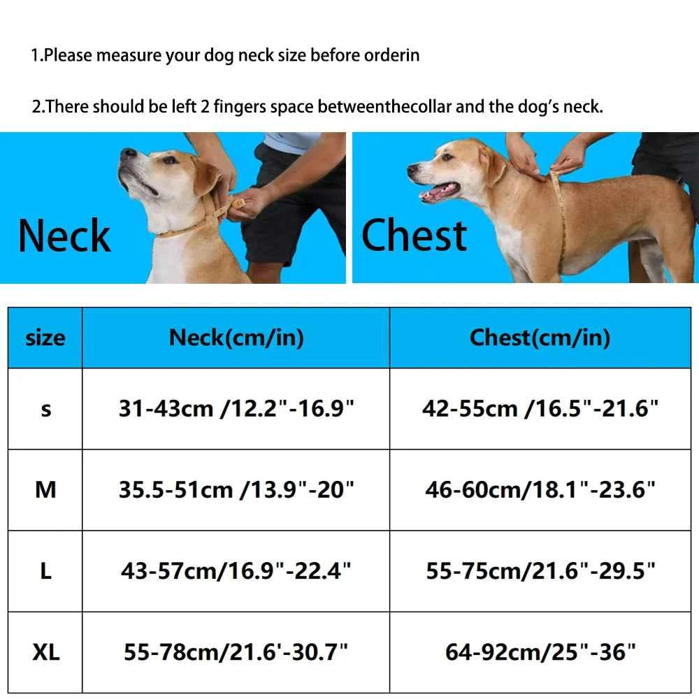 Luxury Dog Harness No Pull - Adjustable Chest Strap for Large and Small Dogs with Customization Options