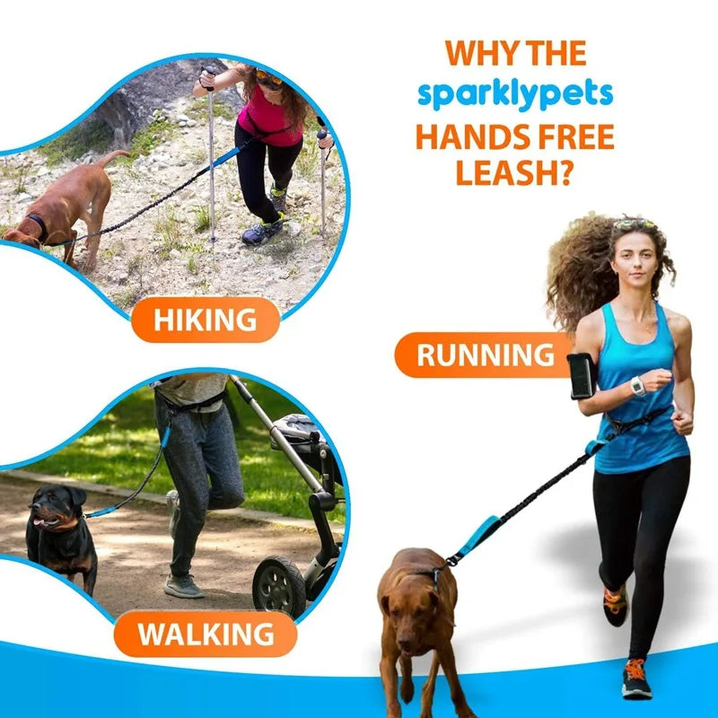 Enhance Your Dog Walks with Our Reflective Elastic Dog Leash