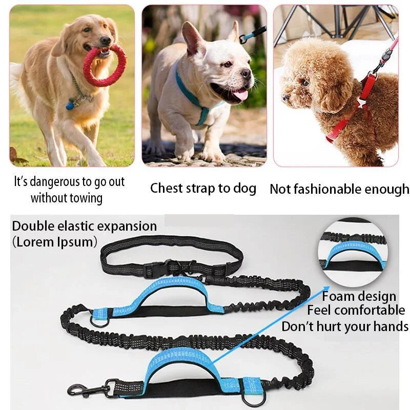Enhance Your Dog Walks with Our Reflective Elastic Dog Leash