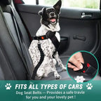 Adjustable Dog Seat Belt for Cars – Crash Tested and Secure