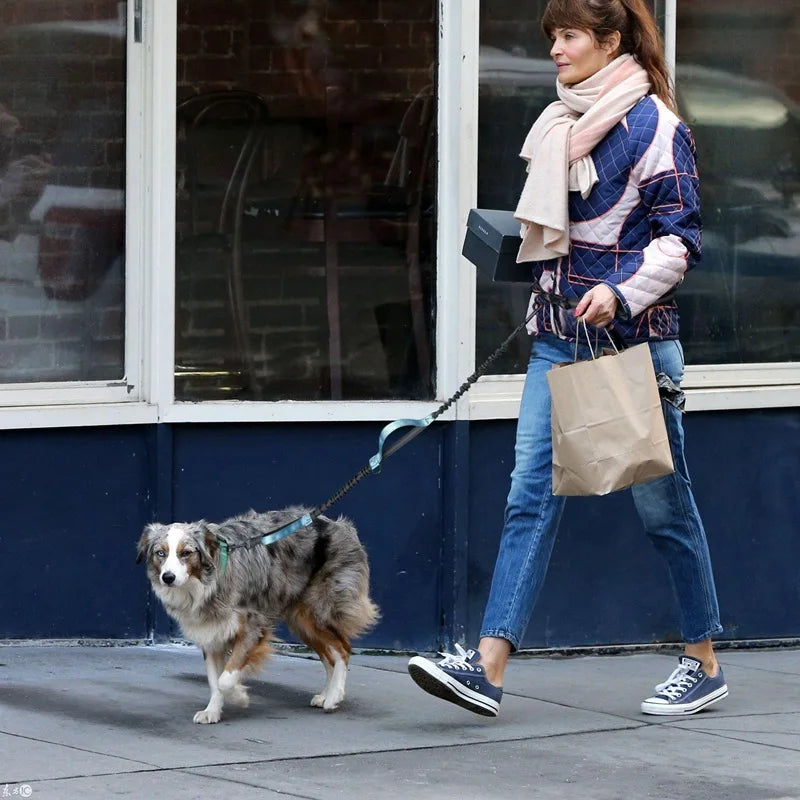 Enhance Your Dog Walks with Our Reflective Elastic Dog Leash