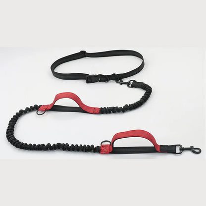 Enhance Your Dog Walks with Our Reflective Elastic Dog Leash