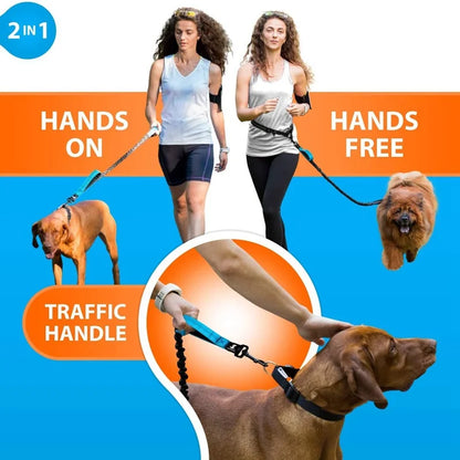 Enhance Your Dog Walks with Our Reflective Elastic Dog Leash