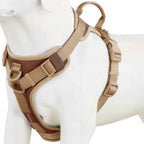 Luxury Dog Harness No Pull - Adjustable Chest Strap for Large and Small Dogs with Customization Options