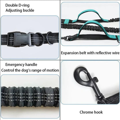 Enhance Your Dog Walks with Our Reflective Elastic Dog Leash