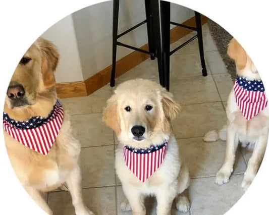 Triangle Scarf Headband Jewelry for Pets