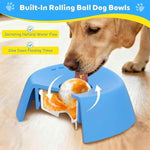J1. Dog Licking Bowl