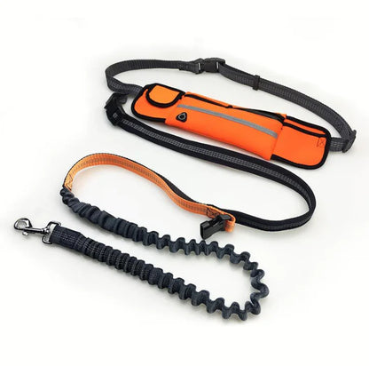 Waterproof Waist Bag with Leash