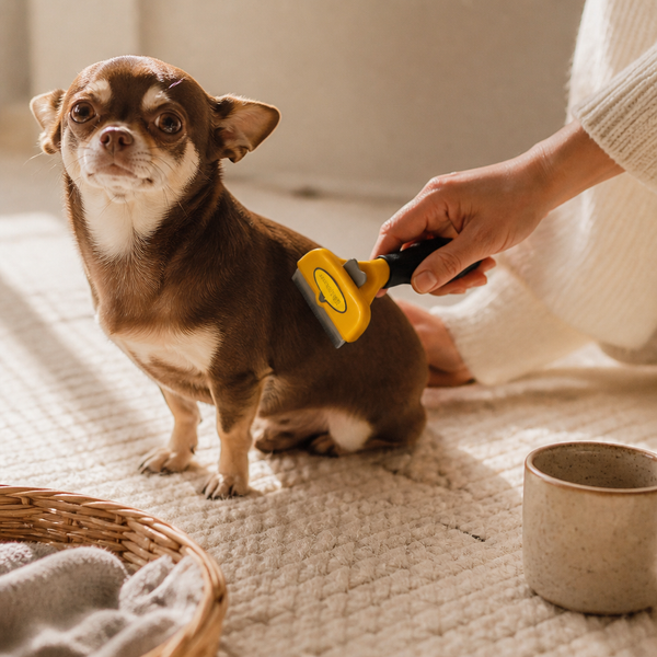 Small Breed Brush