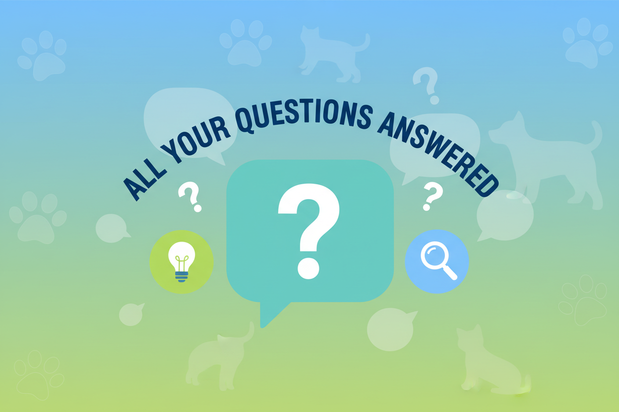 All Your Questions Answered 