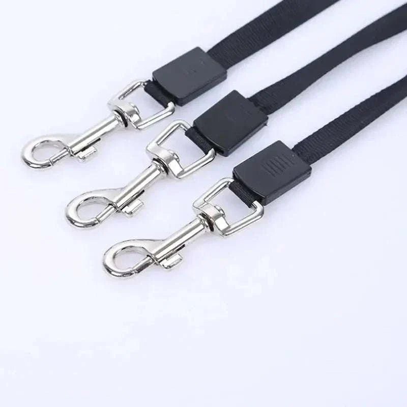 Adjustable Pet Leash & Harness Set for Safe Dog Walks - Johns Pet Store