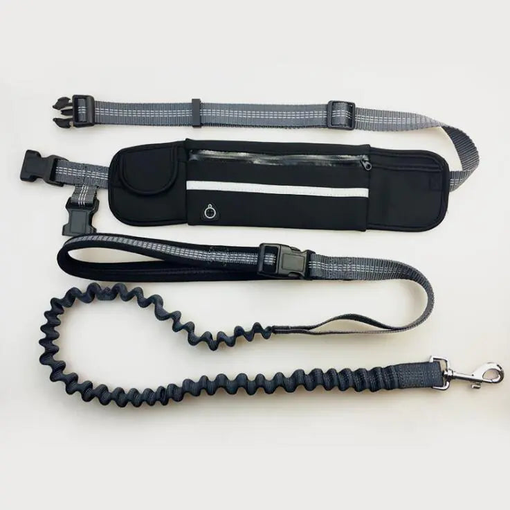 Waterproof Waist Bag with Leash