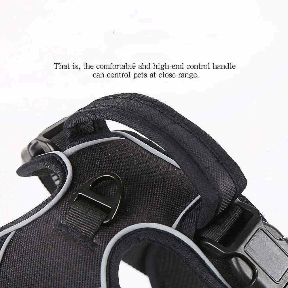 Soft & Safe Reflective Dog Harness for Enhanced Visibility and Comfort - Johns Pet Store