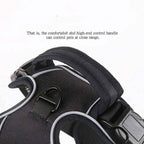 Soft & Safe Reflective Dog Harness for Enhanced Visibility and Comfort - Johns Pet Store