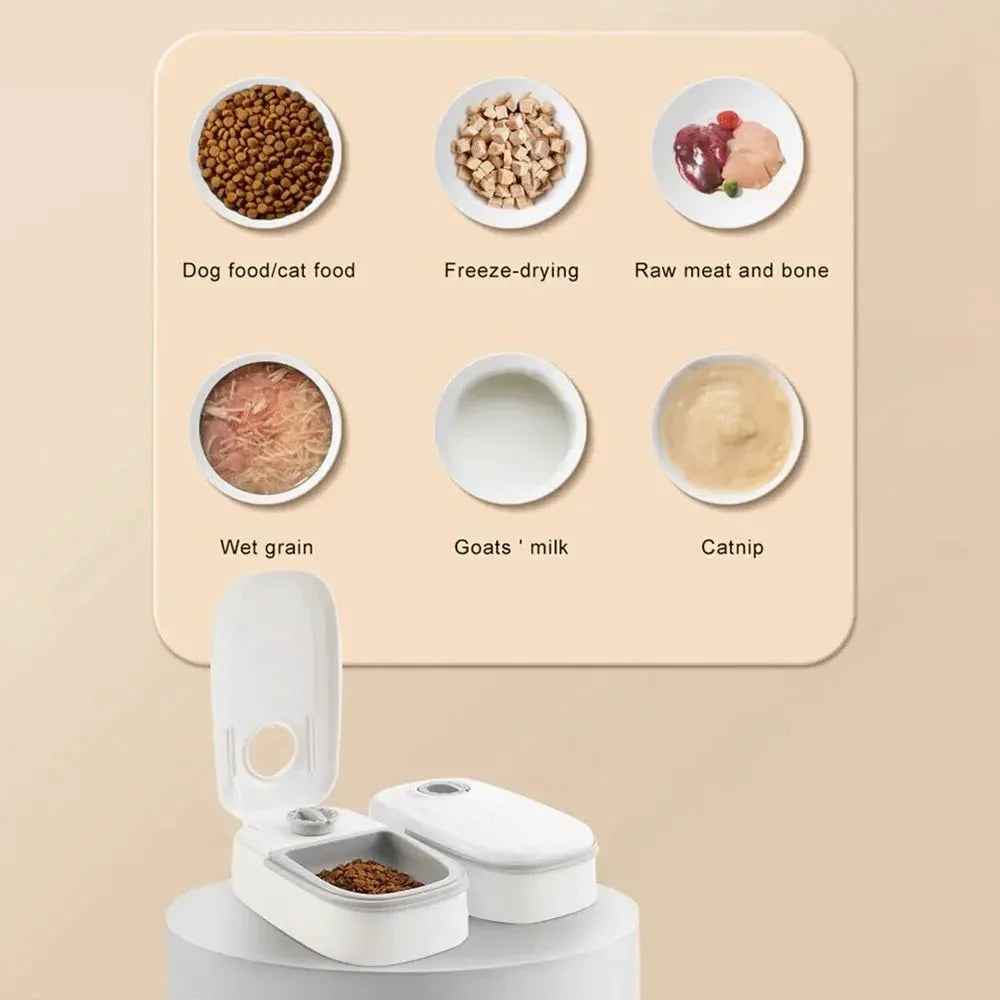 Playful Pet Food Feeder Duo for Happy, Healthy Pets - Johns Pet Store