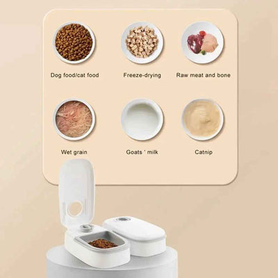 Playful Pet Food Feeder Duo for Happy, Healthy Pets - Johns Pet Store