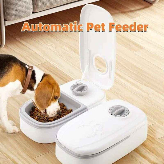 Playful Pet Food Feeder Duo for Happy, Healthy Pets - Johns Pet Store