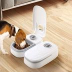 Playful Pet Food Feeder Duo for Happy, Healthy Pets - Johns Pet Store