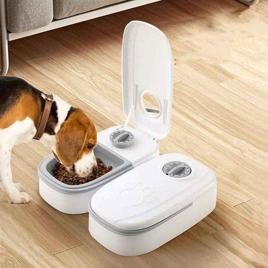 Playful Pet Food Feeder Duo for Happy, Healthy Pets - Johns Pet Store