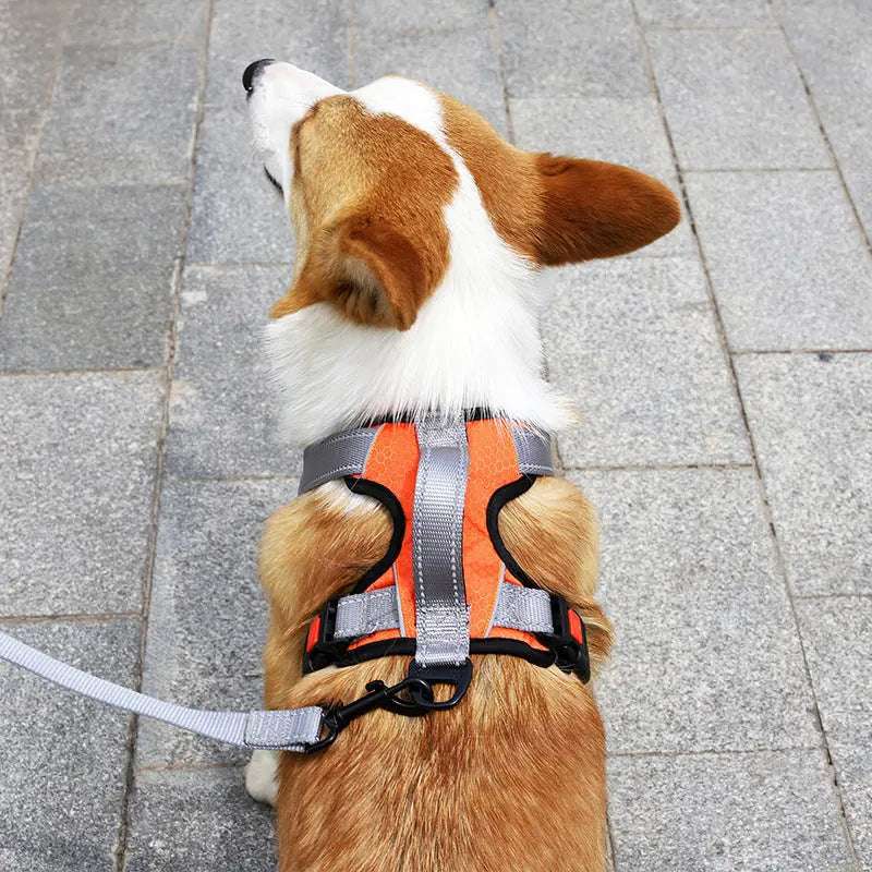 Durable Polyester Dog Hand Holding Rope Vest Chest Strap Lightweight for Everyday Comfort and Style - Johns Pet Store