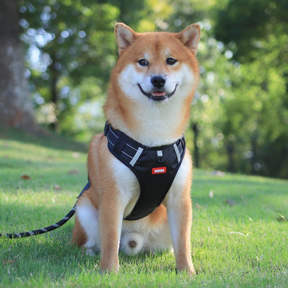 Nylon Dog Harness No Pull Breathable Reflective Vest for Small and Large Dogs - Ideal for Outdoor Running and Training - Johns Pet Store