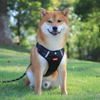 Nylon Dog Harness No Pull Breathable Reflective Vest for Small and Large Dogs - Ideal for Outdoor Running and Training - Johns Pet Store