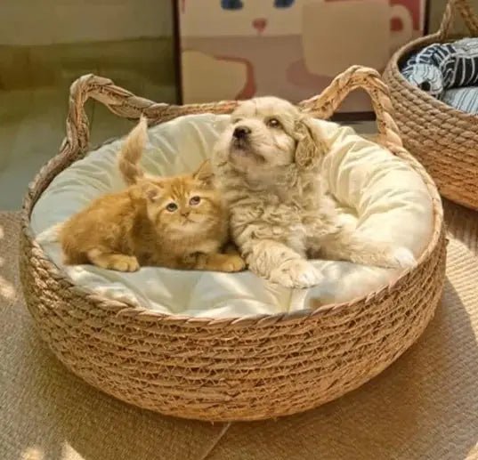 Handmade Pet Comfort Basket - Eco Friendly Cat Bed For Cats And Small Pets - Johns Pet Store