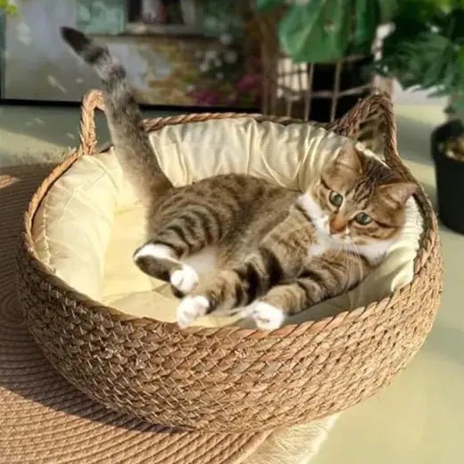 Handmade Pet Comfort Basket - Eco Friendly Cat Bed For Cats And Small Pets - Johns Pet Store
