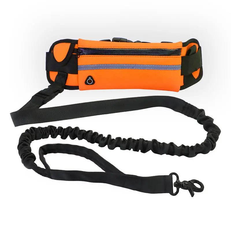 Hands Free Pet Walking Belt With Bungee Leash - Phone Pocket Water Bottle Holder And Reflective Safety - Johns Pet Store