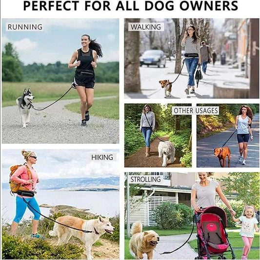 Hands Free Pet Walking Belt With Bungee Leash - Phone Pocket Water Bottle Holder And Reflective Safety - Johns Pet Store