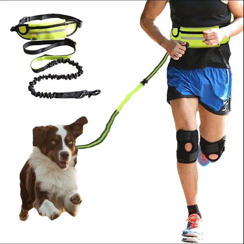 Hands Free Pet Walking Belt With Bungee Leash - Phone Pocket Water Bottle Holder And Reflective Safety - Johns Pet Store