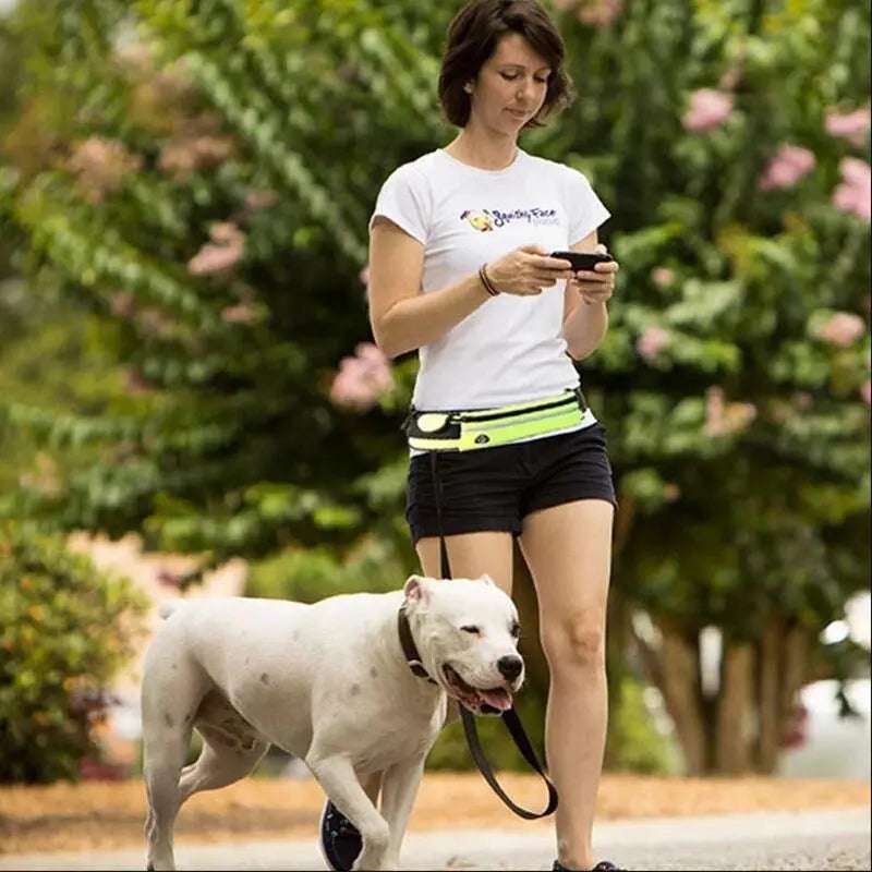Hands Free Pet Walking Belt With Bungee Leash - Phone Pocket Water Bottle Holder And Reflective Safety - Johns Pet Store