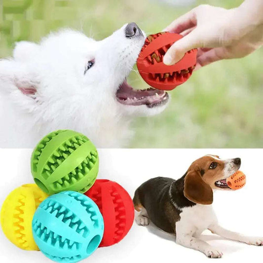 Durable Rubber Ball for Interactive Pets - Exercise & Mental Stimulation - Johns Pet Store