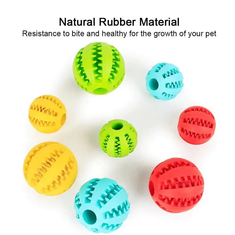 Durable Rubber Ball for Interactive Pets - Exercise & Mental Stimulation - Johns Pet Store