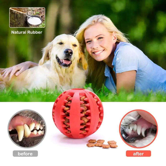 Durable Rubber Ball for Interactive Pets - Exercise & Mental Stimulation - Johns Pet Store
