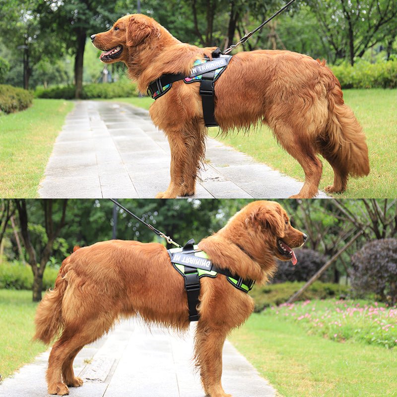 Personaised Dog Chest Strap Reflective Pet Chest Strap - Johns Pet Store