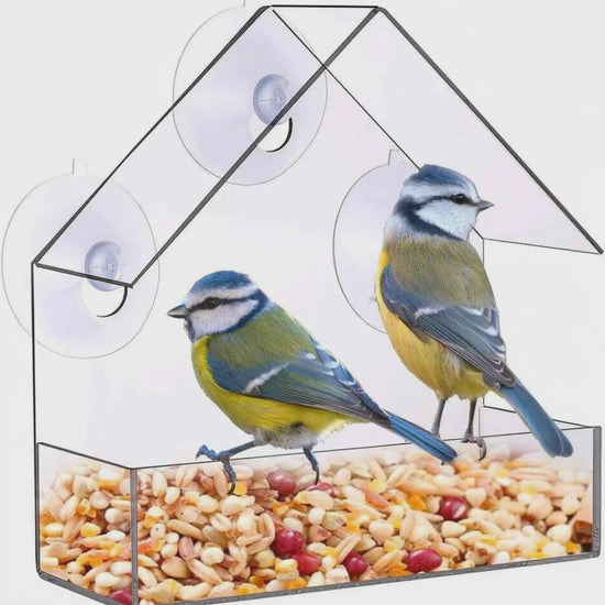 Video for Acrylic Window Bird Feeder — Experience Nature Up Close with Our Easy-Mount Design
