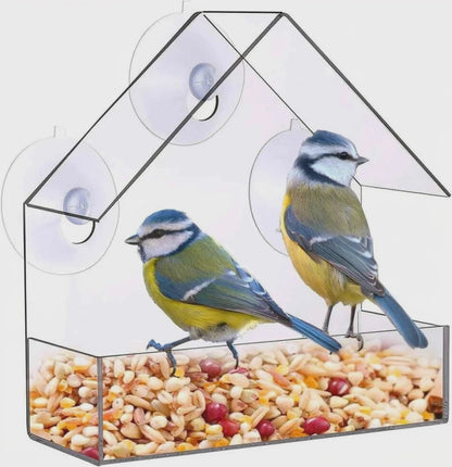 Video for Acrylic Window Bird Feeder — Experience Nature Up Close with Our Easy-Mount Design